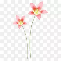花卉设计水彩画剪贴画水彩画花卉创意花纹