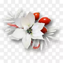 圣诞剪贴画-白色花卉装饰图案