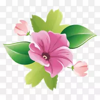 花卉设计花环粉红色-精致的花卉装饰绿色植物