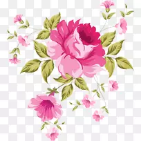 玫瑰图案-精美的手绘花卉背景