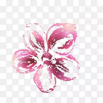 插画-花卉设计红线