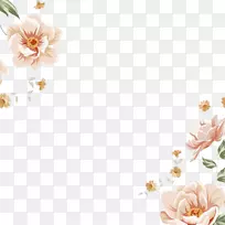 花库摄影图案-清新典雅的花卉材料