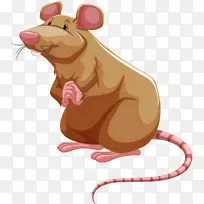 棕色鼠实验鼠夹艺术手绘鼠