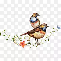 鸟水彩：花水彩花咖啡色水彩画花鸟