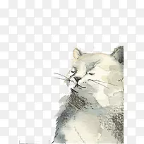 猫画水彩画插图-白猫