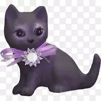 胡须，小猫，黑猫，紫色-可爱的紫色猫玩具