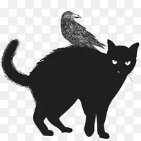 黑猫猫科万圣节剪贴画-黑猫