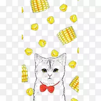iPhone 6猫壁纸-可爱的猫