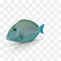 蓝色海底鱼类生物-蓝色水下鱼类世界