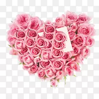 玫瑰花，摄影，粉红皇室-免费情人节-情人节