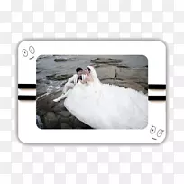 相框演员-婚纱相框