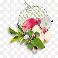 花卉设计苹果红苹果绿叶类饰品创意
