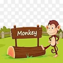 黑猩猩猴子动物园剪辑艺术-可爱的猴子