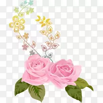 花卉渲染自然花园玫瑰.手绘粉红玫瑰