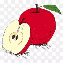 苹果插图-红苹果插图