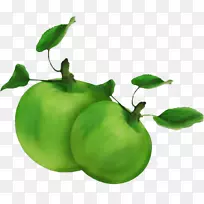 苹果绿色食品水果剪贴画-绿色苹果
