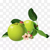 苹果剪贴画-两个绿苹果