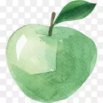 水彩画水果苹果水彩手绘绿色苹果