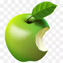 苹果剪贴画-咬绿苹果