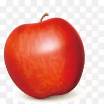 番茄食品本地食品天然食品.红苹果装饰设计