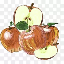 苹果画.棕色手绘苹果装饰图案