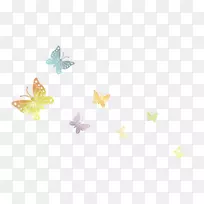 黄色花瓣图案-彩色蝴蝶