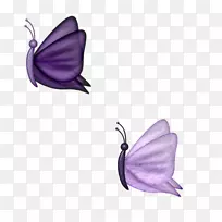 蝴蝶紫蛾剪贴画-蝴蝶