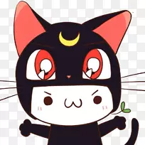 GitHub Kavaii emoticon vue.js软件储存库-黑猫小男孩