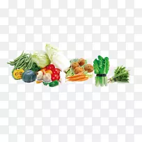 叶菜素菜菜系萝卜大白菜新鲜蔬菜元素