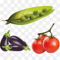 茄子番茄剪贴画-新鲜蔬菜写真