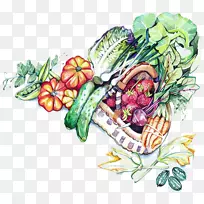 植物水彩画花卉设计插图.手绘水彩画蔬菜