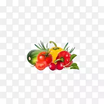 蔬菜水果插图-新鲜蔬菜