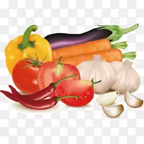 香料原料食品插图.手绘蔬菜