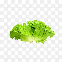 食物标志-绿色蔬菜