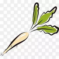 菜园萝卜蔬菜插图-手绘，棒形，水果和蔬菜，卡通