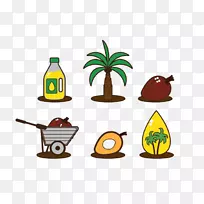 棕榈油，槟榔科椰子-核桃椰汁