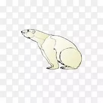 北极熊无耳海豹水獭兔手绘熊
