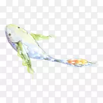 飞鱼插图-可爱的手绘鱼