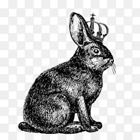 兔跳画兔-冠兔