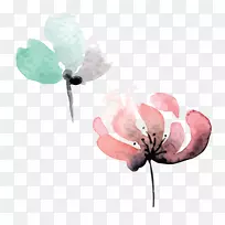 花瓣水彩画