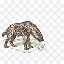 条纹鬣狗贴纸-玻璃手绘棕熊材料