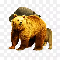棕熊儿童闪存卡动物-强壮的熊材料