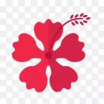 夏威夷粉红色花-夏威夷粉红色花