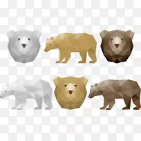 北极熊棕熊几何学-熊几何学