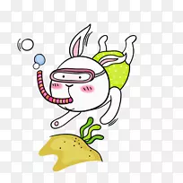 兔子插图-潜水兔