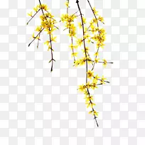 下载图标-花束