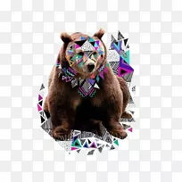 绘画版画设计师插图.创意动物熊