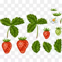 草莓叶食.手绘草莓叶
