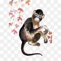 画原图摄影插图-手绘黑猴子
