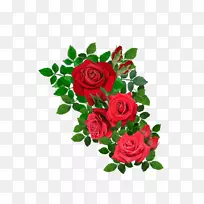 海滩玫瑰插花艺术-红玫瑰